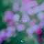 Eijk - To Me