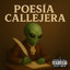 Poesia Callejera