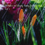 Meditation and Sleeping Raining Sounds Vol. 1 cover