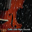 Rainscapes cover