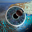 Breathe (In the Air) - Live - Pink Floyd