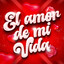 El Amor De Mi Vida cover