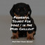 Powerful Sounds For Dogs | in the Mind Chillout cover