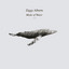 Made of Water cover