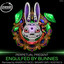 Engulfed By Bunnies - Binary (SP) Remix