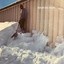 Unknown Title cover