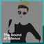 The Sound of Silence cover