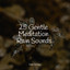 25 Gentle Meditation Rain Sounds cover