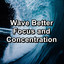 Wave Better Focus and Concentration cover