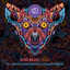 If You Search - Mihai Popoviciu Remix