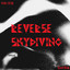 Who Else & Zagitar — Reverse Skydiving (Extended Mix) cover art