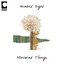 Minimal Things