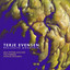 Terje Evensen - Reclusive Mountain