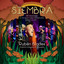 D*****O - ORQ SIEMBRA