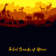 The Sahara Desert cover