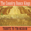 A Tribute To Tim McGraw cover
