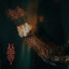 Black Reuss - Regression