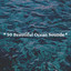 * 50 Beautiful Ocean Sounds * cover