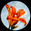 This Fire - Extended Mix