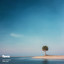 . - Miskin Law - Miskin Moment 111 Promo - CKWF