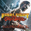 Final Fight Streetwise cover