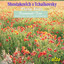 Unknown Title cover