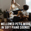 Mellowed Pet's Mood in Soft Piano Sounds cover