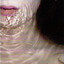 Since - Plastik Und Beton