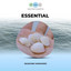 Essential Seashore Harmonies cover