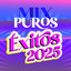 Mix Puros Éxitos 2025 cover