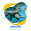 Ambient Ocean Sounds Compilation cover