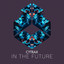 In The Future - Extended Mix