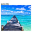 Pura Vida cover