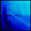Hipnosis cover