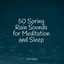 50 Spring Rain Sounds for Meditation and Sleep cover