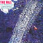 Live at the Edinburgh Liquid Rooms, October 10 2001 cover