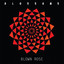 Blown Rose artwork