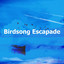 Birdsong Escapade cover