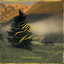 Upper Piney (hey oh colorado) cover