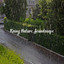 Rainy Nature Soundscape cover