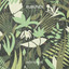 Nii Polaarne cover
