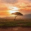 Motherland cover