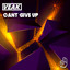Cant Give Up artwork