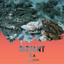 zZz Distant Sea Ambience zZz cover