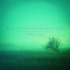 Birds Arrive cover