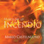 Musica per un incendio cover