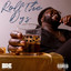 Roll The Dys cover