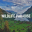 Wildlife Paradise cover