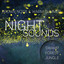 Brown Noise & Warm Summer Night Sounds (Swamp, Forest, Jungle), Loopable cover
