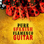 Pure Spanish Flamenco Guitar cover